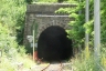 Tunnel de Paganin