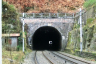 Niederrheinthal Tunnel