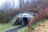 Tunnel du Hauenstein