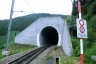 Grind Rail Tunnel