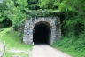 Antea Tunnel
