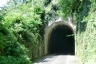 Camel Tunnel