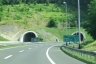 Tunnel Hrastovec
