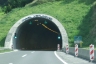 Tunnel Vrtlinovec