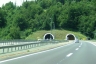 Tunnel de Cardak