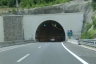 Tunnel Hrasten