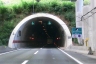 Tunnel de Javorova Kosa