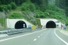 Tunnel de Sopač