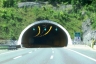 Tunnel Veliki Glozac