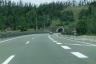 Tunnel Vrata