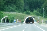 Vršek Tunnel