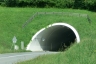 Tunnel de Reith