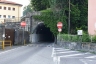 Tunnel Martinoli 1
