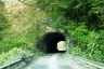 Crestola Tunnel