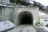 Massaniga Tunnel