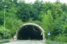 Delle Fonti Tunnel