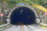 Tunnel d'Åkrafjord