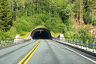 Stampeleinås Tunnel