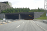 Tunnel de Bjørnegård