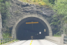 Fretheim-Tunnel