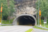 Lunner-Tunnel
