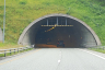 Tunnel de Skui
