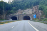 Løehei Tunnel