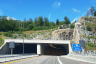 Tunnel de Martineås