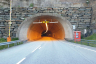 Skifjell Tunnel