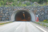 Tunnel de Steinsås
