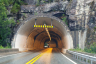 Apal Tunnel