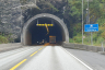 Hordvik Tunnel