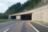 Nøstvedt-Tunnel