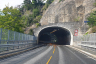 Tunnel de Brevik