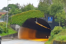 Hillevåg Tunnel