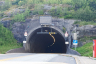 Tunnel de Flekkerøy