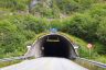 Tunnel de Folgefonn