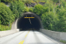 Hagaås Tunnel