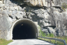 Tunnel de Vassbygd