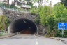 Hjelterygg Tunnel