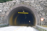 Naustbukt-Tunnel
