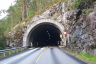 Timreskred Tunnel