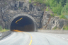 Tunnel Spannavard