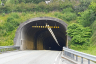 Fannefjordtunnelen