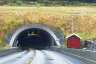 Tunnel de Haramsfjord