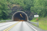 Tunnel de Grua