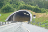 Åsnut Tunnel