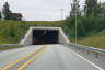 Tunnel de Nedre Lundesgaard