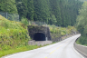 Tunnel de Bogelia hvelv III