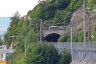 Kongshavn Tunnel